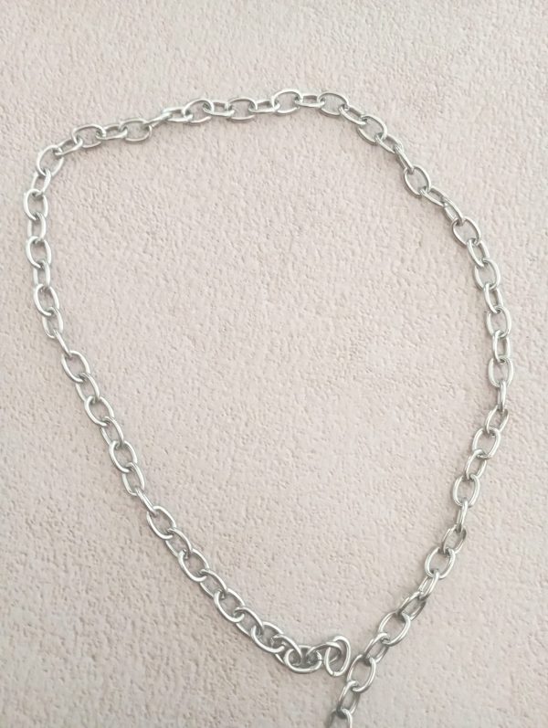 PHOTO-2025-11-09-01-01-48 Collier Flore